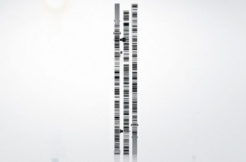Imagen Mira insertable de fibra de vídrio GKNL4M