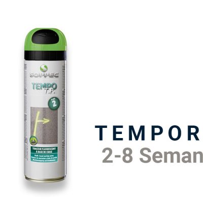 Spray de pintura temporal