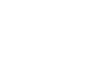 DJI