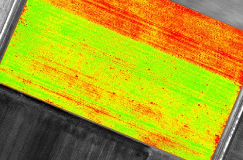 Imagen Índices de vegetación y análisis de salud de cultivos