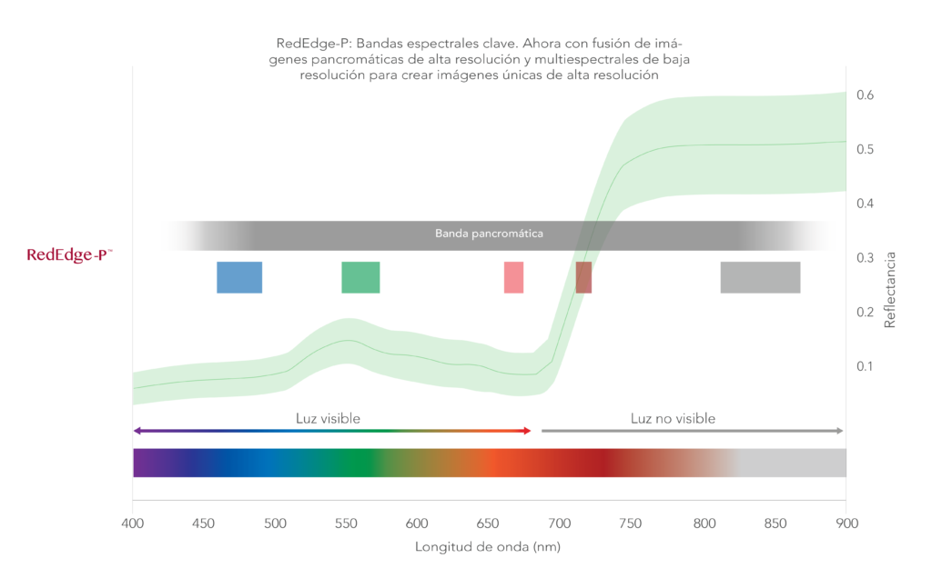 RedEdge-P-Spectrum_Spanish