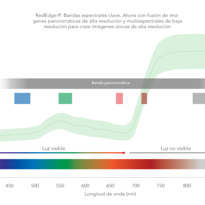 RedEdge-P-Spectrum_Spanish